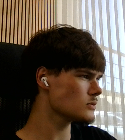 sideprofile2.png