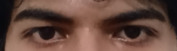 1789483721859.png