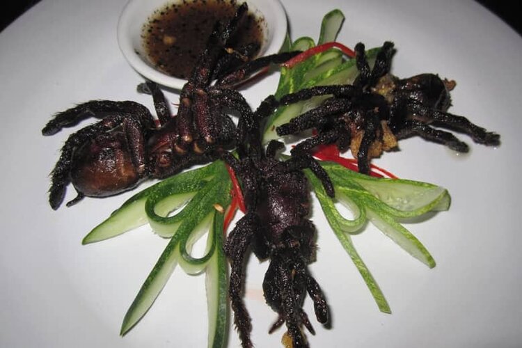tarantula-appetizer-780.jpg