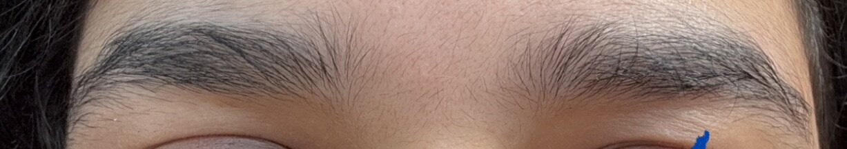 IMG_5800.jpeg