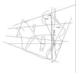 IMG_0111.jpeg
