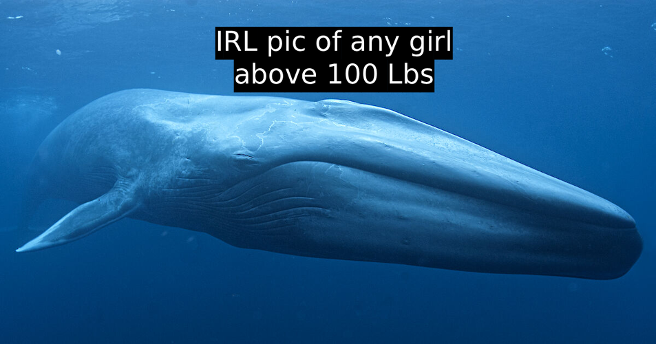 ia40342.1200x630.png