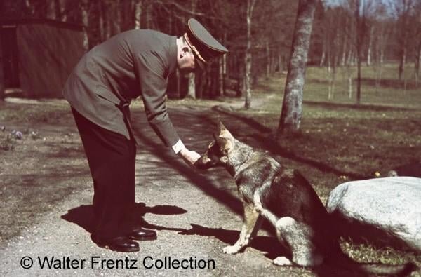 adolf-hitler-and-his-dog-blondi-1942-1943-v0-r0tvlmq75bee1.jpg