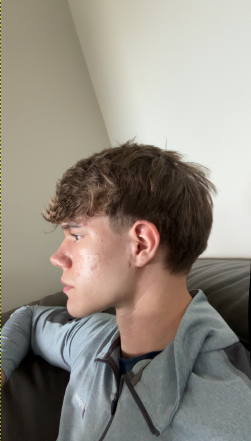 morph5.png