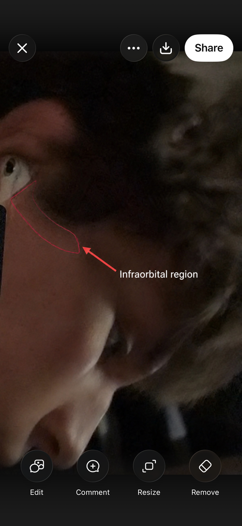 IMG_6951.png