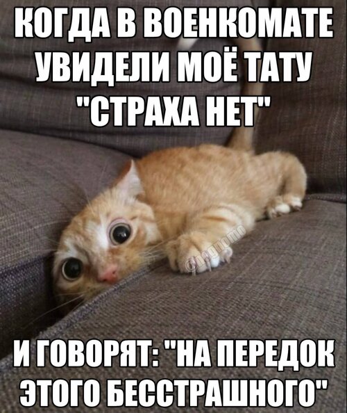 IMG_3796.jpeg