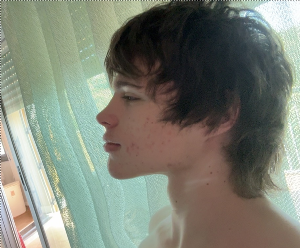 morph9.png