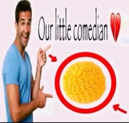 0e021b0cc25dd32c7da751ab93bfa311