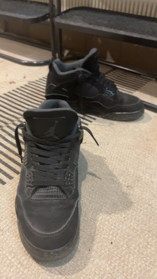 IMG_1034.jpeg