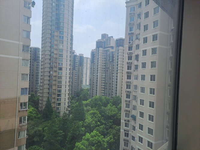 20250714_103248.jpg