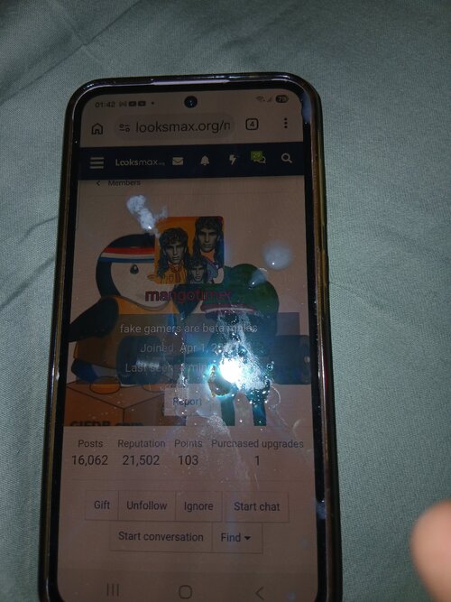 4607.jpg