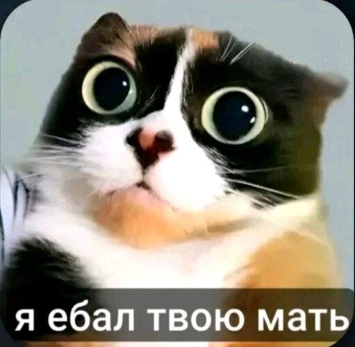 IMG_1006.jpeg