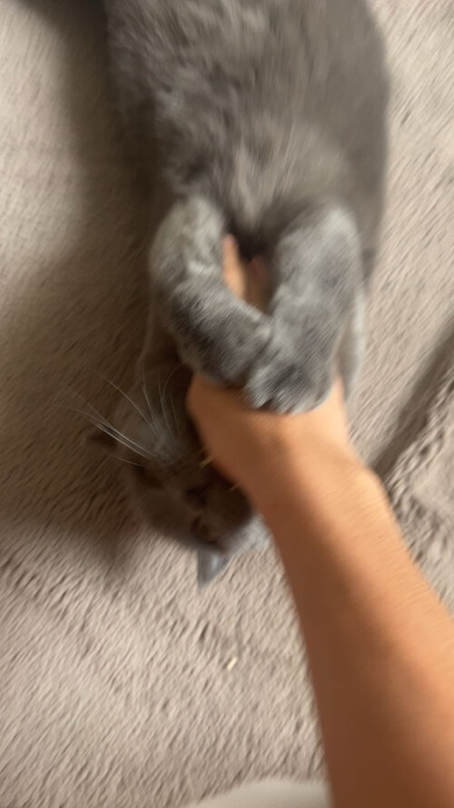 IMG_0525.jpeg