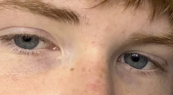 IMG_2494.jpeg