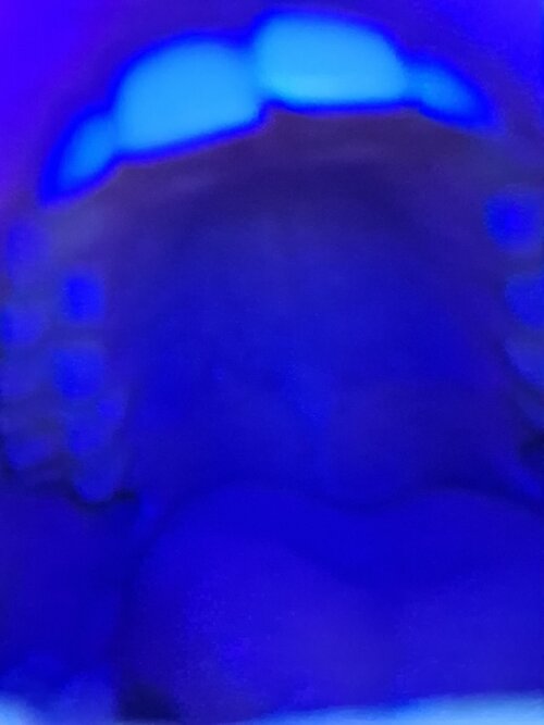 20260927_170234.jpg