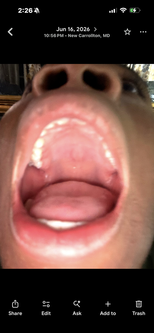 IMG_0616.png