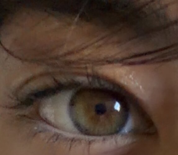 IMG_0157.jpeg