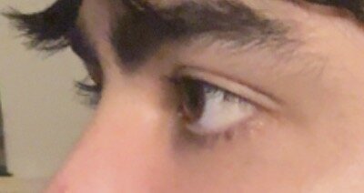IMG_2500.jpeg