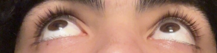 IMG_2501.jpeg