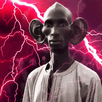 image.gif