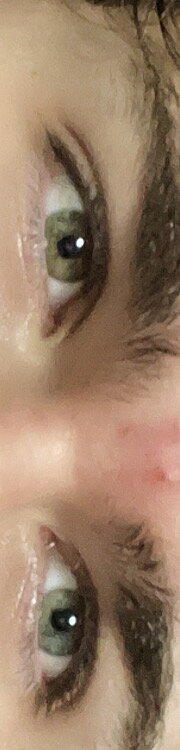 IMG_1429.jpeg