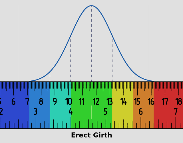 new_girth_chart.png