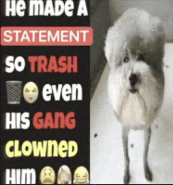1790818406498