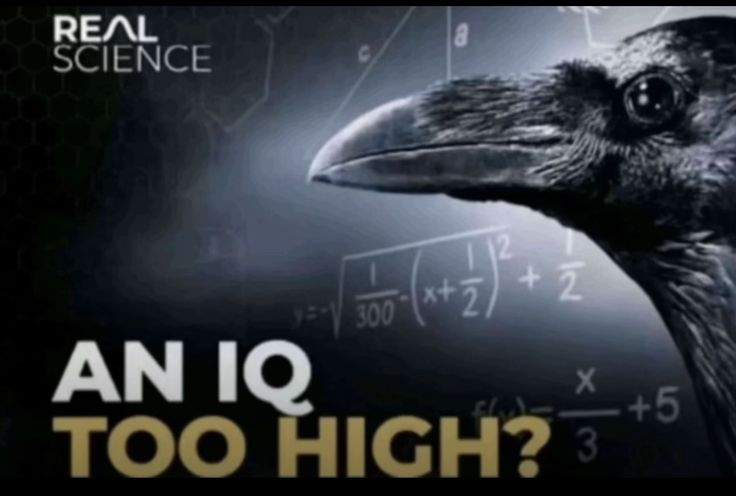 1790819716614