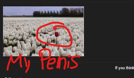 1790865515813