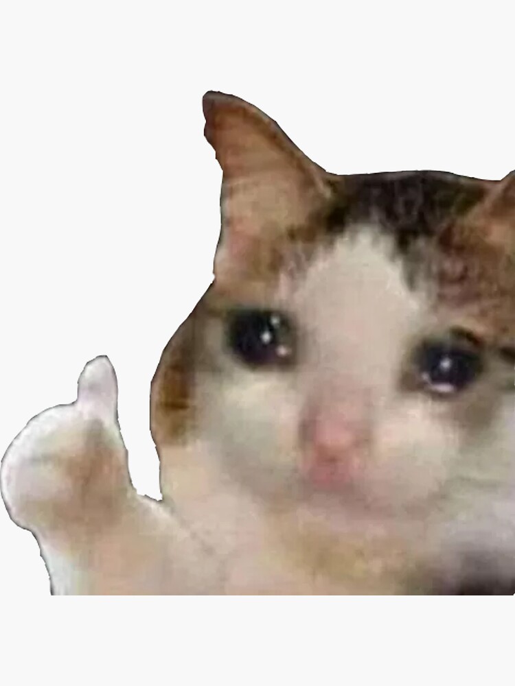 32254
