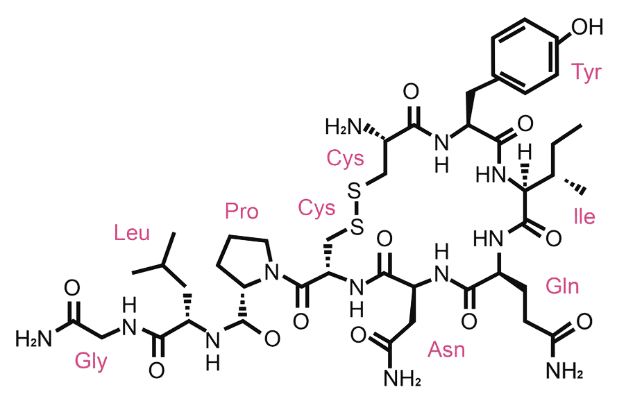 Oxytocin1