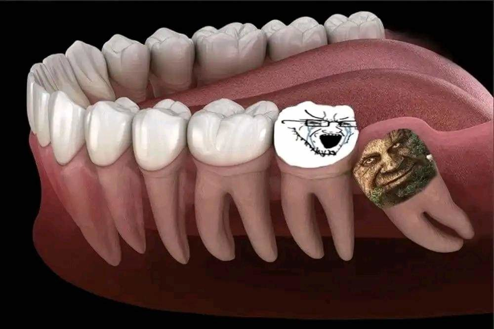 1791312414982