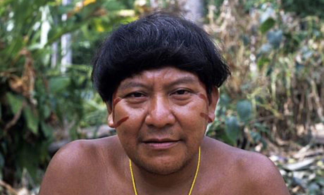 IMG 3562