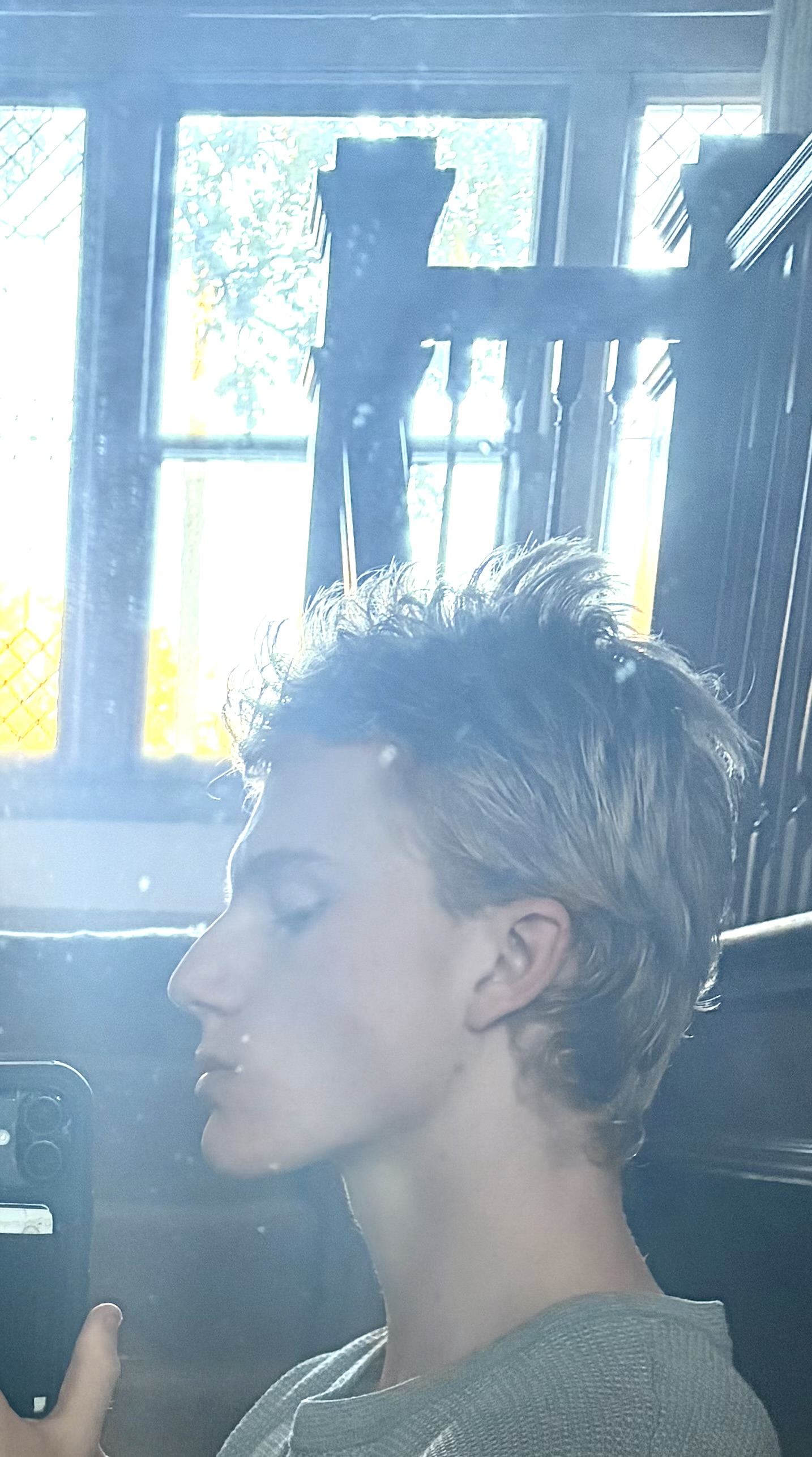 IMG 0371
