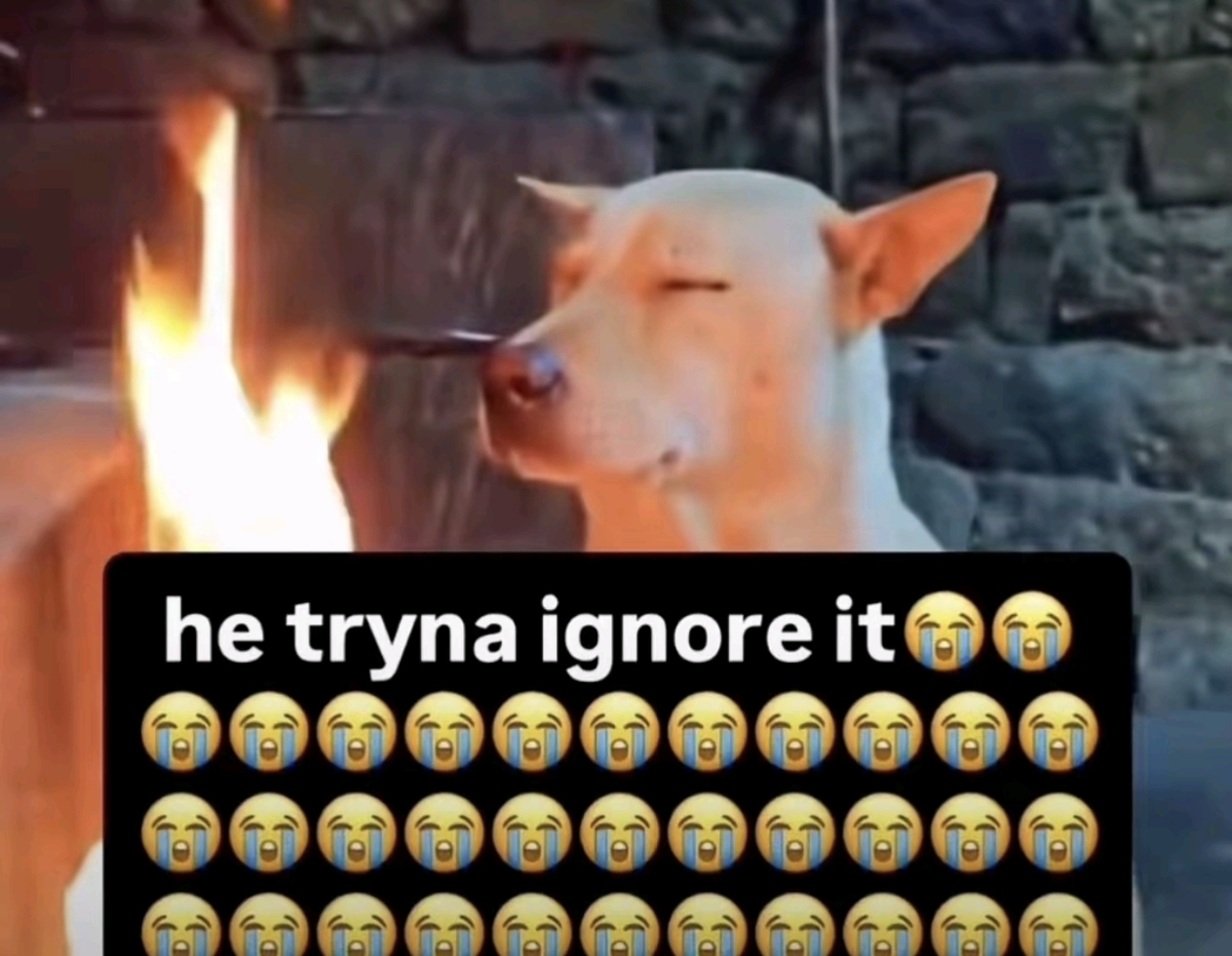 49814