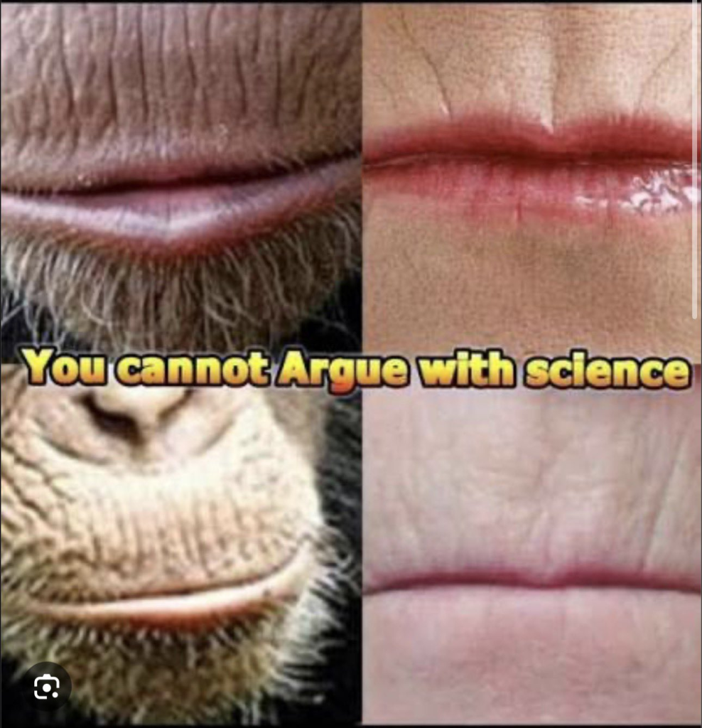 1791521845201