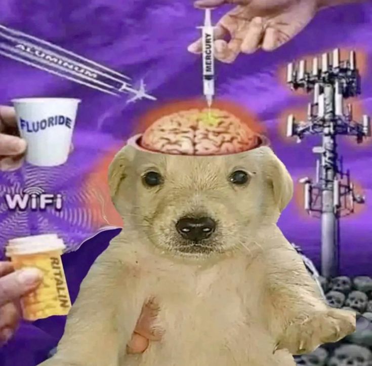 119092