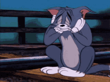 Tom tom and jerry
