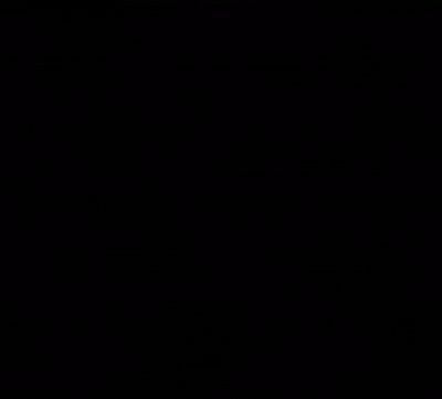 IMG 0044