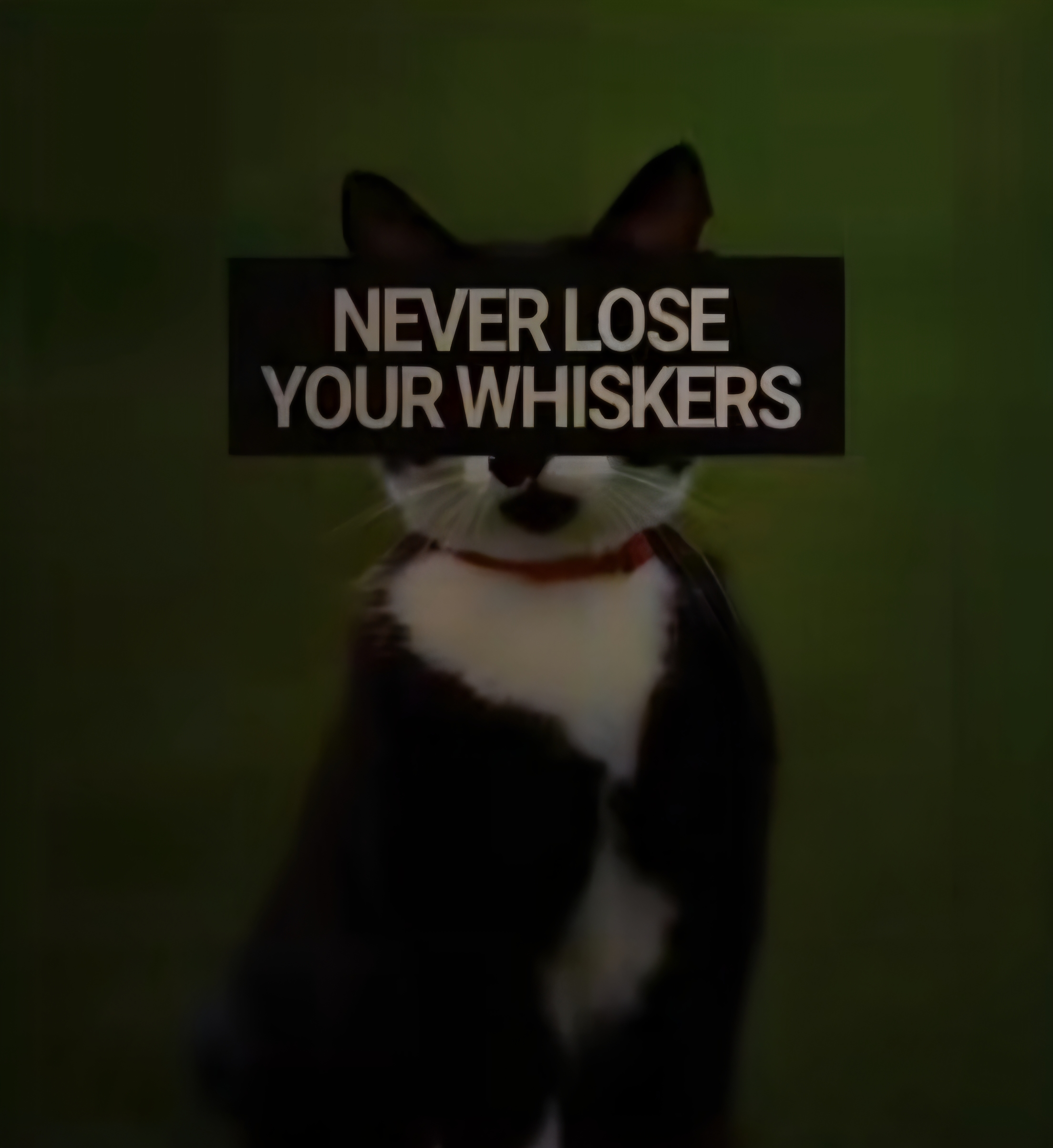 1000054866