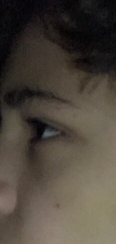 IMG_0010.jpeg