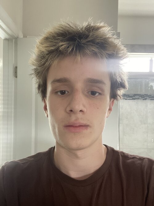 image.jpg