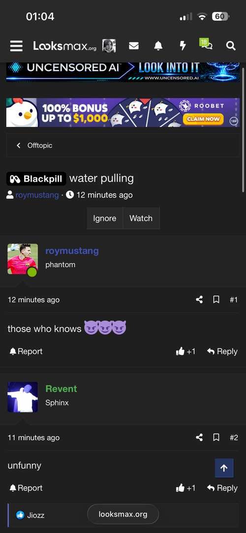 IMG_0197.png